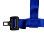008745-CINTURON-DE-SEGURIDAD-RW-4-PUNTAS-AZUL-CU-CIS1200BL-03